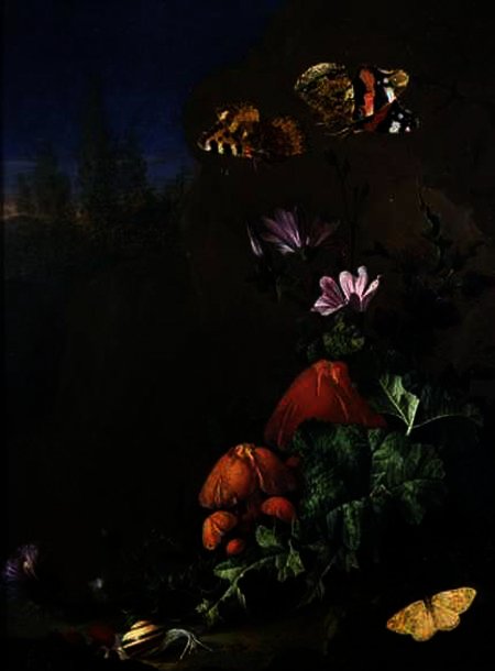 Wikioo.org - The Encyclopedia of Fine Arts - Painting, Artwork by Elias Van Den Broeck - Still Life of Forest Floor with Flowers, Mushrooms and Snails