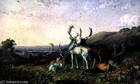 Wikioo.org - The Encyclopedia of Fine Arts - Painting, Artwork by George Barret The Elder - Deer in a Landscape