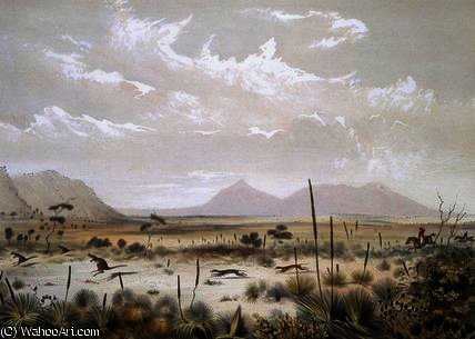 Wikioo.org - สารานุกรมวิจิตรศิลป์ - จิตรกรรม George French Angas - Kangaroo Hunting near Port Lincoln