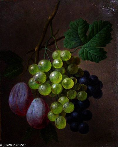 Wikioo.org - The Encyclopedia of Fine Arts - Painting, Artwork by Georgius Jacobus Johannes Van Os - A Still Life with Grapes and Plums