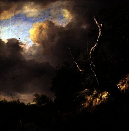 Wikioo.org - The Encyclopedia of Fine Arts - Painting, Artwork by Jacob Isaakszoon Van Ruisdael (Ruysdael) - The Dunes near Haarlem