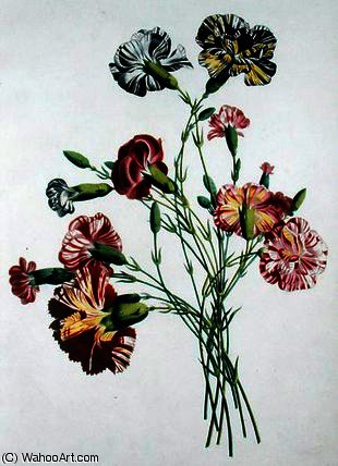 Wikioo.org - The Encyclopedia of Fine Arts - Painting, Artwork by Jean Louis Prevost - Bouquet of Carnations