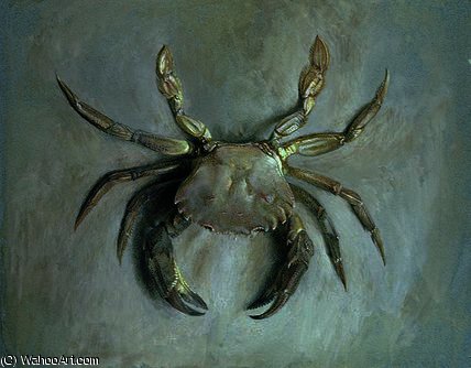 Wikioo.org - The Encyclopedia of Fine Arts - Painting, Artwork by John Ruskin - Velvet crab