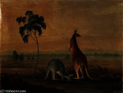 WikiOO.org - Güzel Sanatlar Ansiklopedisi - Resim, Resimler John William Lewin - Kangaroos in a landscape, c.1819