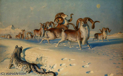 WikiOO.org - אנציקלופדיה לאמנויות יפות - ציור, יצירות אמנות Joseph Wolf - A snow leopard stalking ovis poli