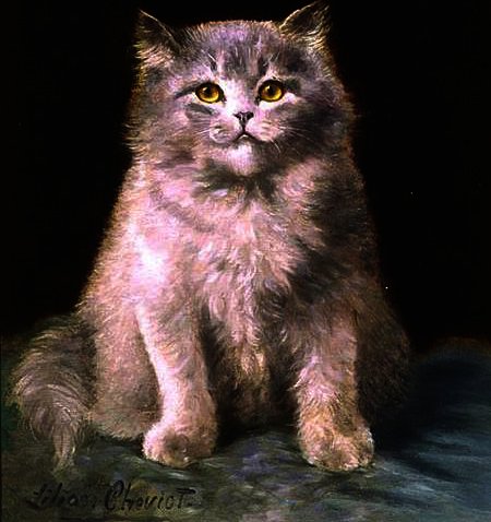 WikiOO.org - Encyclopedia of Fine Arts - Maleri, Artwork Lilian Cheviot - Study of a cat