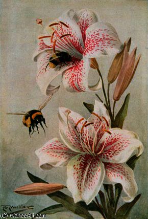 WikiOO.org - Enciclopédia das Belas Artes - Pintura, Arte por Louis Fairfax Muckley - Bees and Lilies