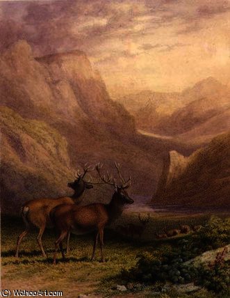 WikiOO.org - Енциклопедия за изящни изкуства - Живопис, Произведения на изкуството Robert Hills - Deer in the Highlands