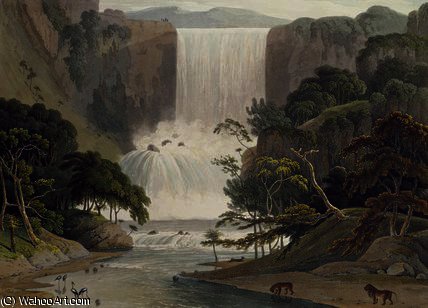 Wikioo.org - The Encyclopedia of Fine Arts - Painting, Artwork by Samuel Daniell - Cascade on Sneuwberg