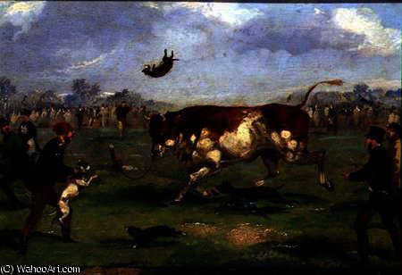 Wikioo.org – La Enciclopedia de las Bellas Artes - Pintura, Obras de arte de Samuel Henry Gordon Alken - Hostigamiento del toro