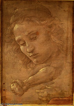 Wikioo.org - The Encyclopedia of Fine Arts - Painting, Artwork by Sandro Botticelli - Head of a youth