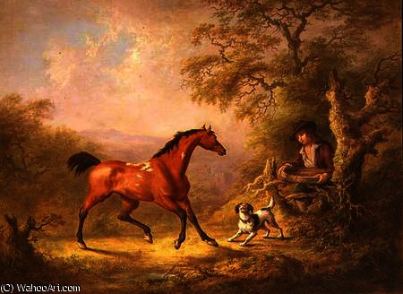 WikiOO.org - Εγκυκλοπαίδεια Καλών Τεχνών - Ζωγραφική, έργα τέχνης Sawrey Gilpin - A Groom Feeding a Horse