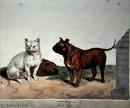 Wikioo.org – L'Encyclopédie des Beaux Arts - Peinture, Oeuvre de Sydenham Teast Edwards - le taureau chien