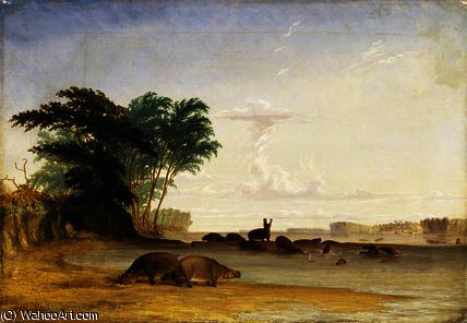 WikiOO.org - Εγκυκλοπαίδεια Καλών Τεχνών - Ζωγραφική, έργα τέχνης Thomas Baines - Herd of hippopotami near the mouth of the Luabo