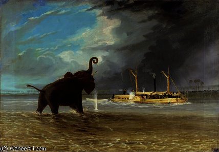 Wikioo.org – La Enciclopedia de las Bellas Artes - Pintura, Obras de arte de Thomas Baines - Massachusetts Roberto  asícomo  Los elefantes