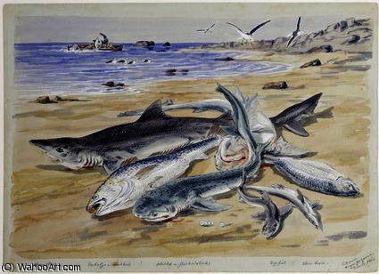 Wikioo.org - The Encyclopedia of Fine Arts - Painting, Artwork by Thomas Baines - Several sharks on the beach at Angra Peguena