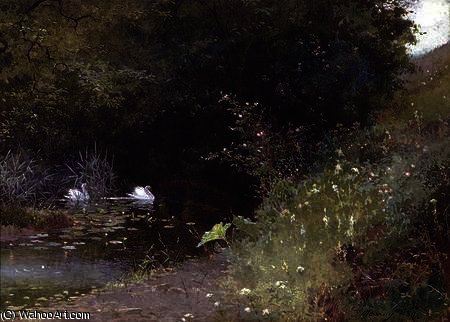 WikiOO.org - Enciklopedija dailės - Tapyba, meno kuriniai Thomas Mackay - Swans on a Lake