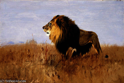 Wikioo.org - The Encyclopedia of Fine Arts - Painting, Artwork by Friedrich Wilhelm Kuhnert - Lion Watching for Prey