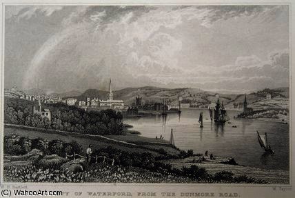 WikiOO.org - دایره المعارف هنرهای زیبا - نقاشی، آثار هنری William Henry Bartlett - View of Waterford from The Dunmore Road
