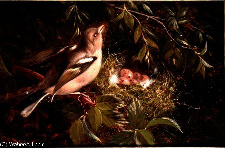 WikiOO.org - Enciklopedija dailės - Tapyba, meno kuriniai William Hughes - A Chaffinch at its Nest