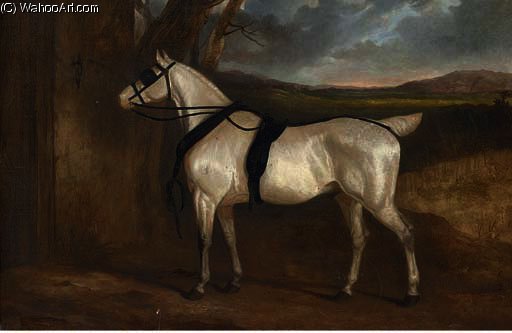 WikiOO.org - Енциклопедия за изящни изкуства - Живопис, Произведения на изкуството Charles Hancock - A grey carriage horse