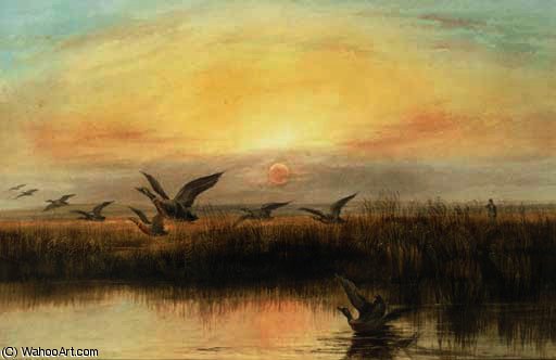 Wikioo.org - The Encyclopedia of Fine Arts - Painting, Artwork by Andrew Nicholl - Duck flighting at dusk