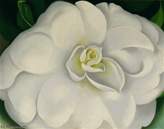 WikiOO.org - Encyclopedia of Fine Arts - Schilderen, Artwork Georgia Totto O'keeffe - A white camellia