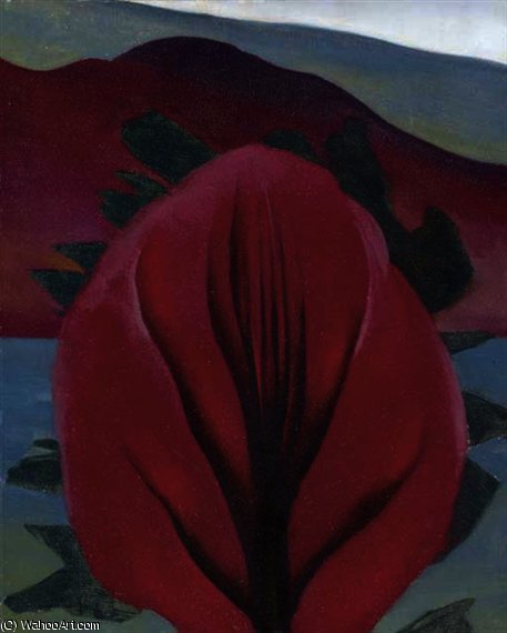 WikiOO.org – 美術百科全書 - 繪畫，作品 Georgia Totto O'keeffe - 雪松 和  红  枫  湖  乔治