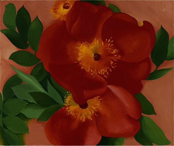 WikiOO.org - Encyclopedia of Fine Arts - Malba, Artwork Georgia Totto O'keeffe - Two austrian copper roses iii