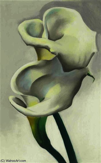 Wikioo.org - สารานุกรมวิจิตรศิลป์ - จิตรกรรม Georgia Totto O'keeffe - Two calla lilies together