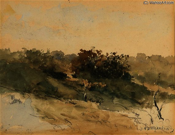 Wikoo.org - موسوعة الفنون الجميلة - اللوحة، العمل الفني Jan Weissenbruch - A dune landscape