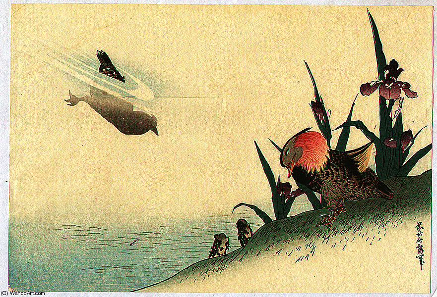Wikoo.org - موسوعة الفنون الجميلة - اللوحة، العمل الفني Katsushika Hokusai - Two Birds and Iris