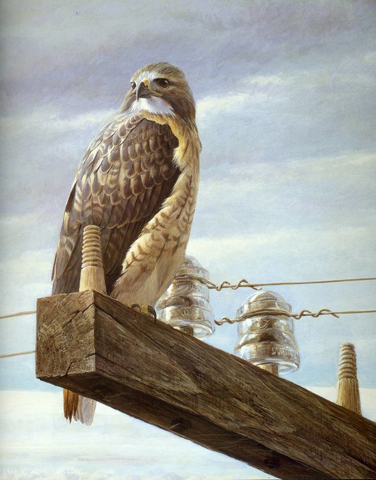 Wikioo.org - The Encyclopedia of Fine Arts - Painting, Artwork by Robert Bateman - Untitled (942)