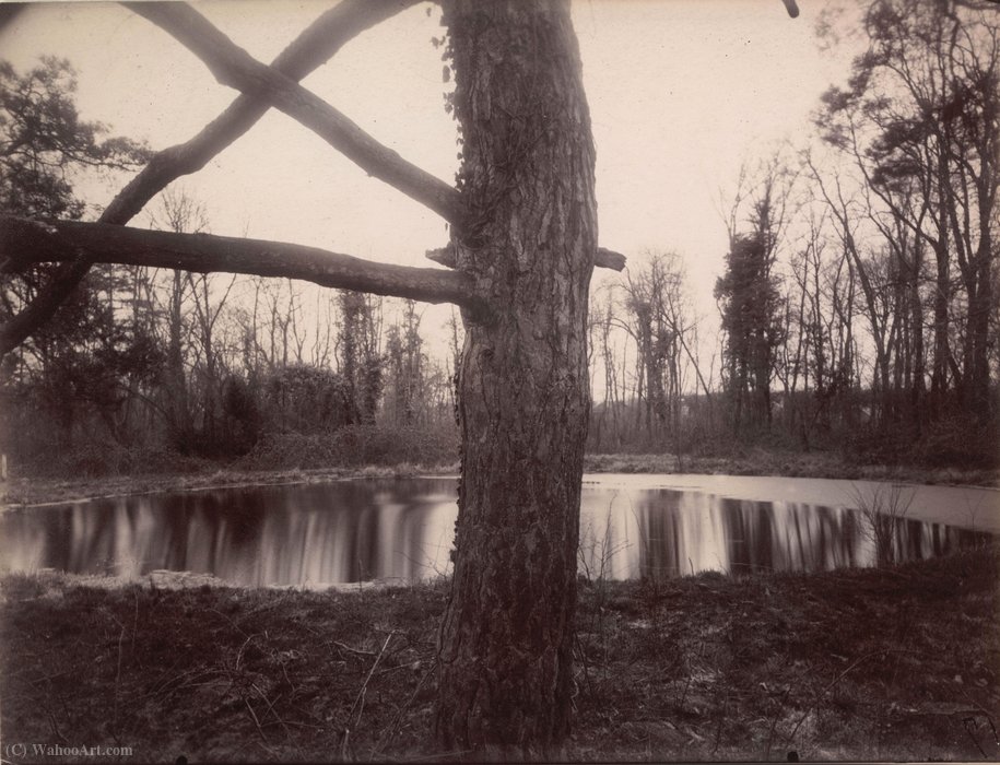 Wikioo.org - The Encyclopedia of Fine Arts - Painting, Artwork by Eugene Atget - Parc de Sceaux