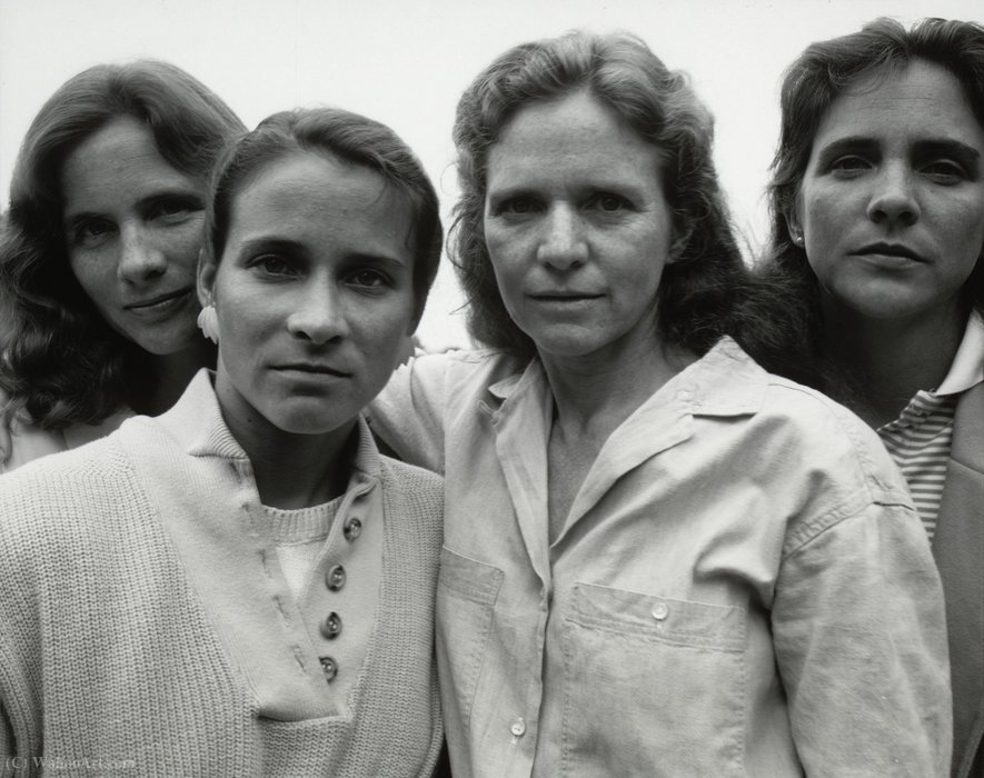 WikiOO.org - Encyclopedia of Fine Arts - Maalaus, taideteos Nicholas Nixon - The brown sisters