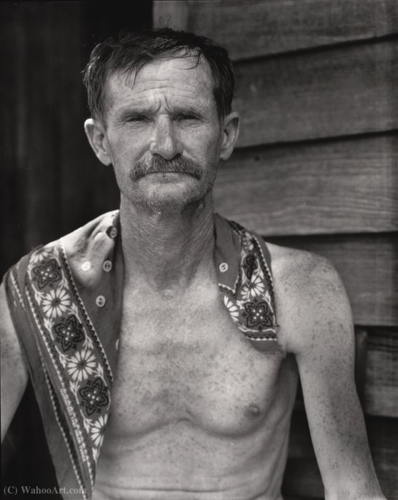 Wikioo.org - The Encyclopedia of Fine Arts - Painting, Artwork by Walker Evans - Sharecropper, hale county, alabama