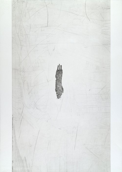 Wikioo.org - The Encyclopedia of Fine Arts - Painting, Artwork by Kiki Smith - Untitled from White Mammals (3)
