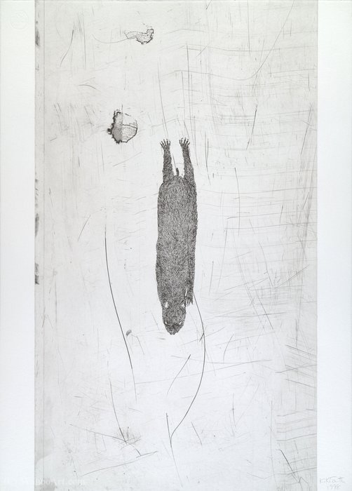 Wikioo.org - The Encyclopedia of Fine Arts - Painting, Artwork by Kiki Smith - Untitled from White Mammals (6)