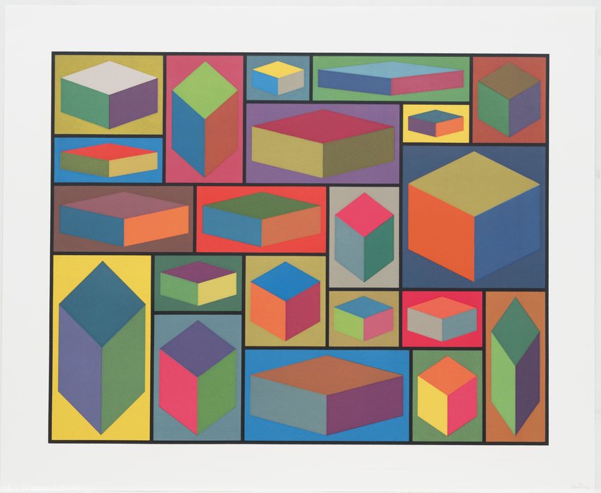 Wikioo.org - The Encyclopedia of Fine Arts - Painting, Artwork by Sol Lewitt - Distorted Cubes from Distorted Cubes (2)