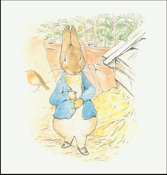 Wikioo.org - Encyklopedia Sztuk Pięknych - Malarstwo, Grafika Beatrix Potter - Peter rabbit 10a - (11x11)