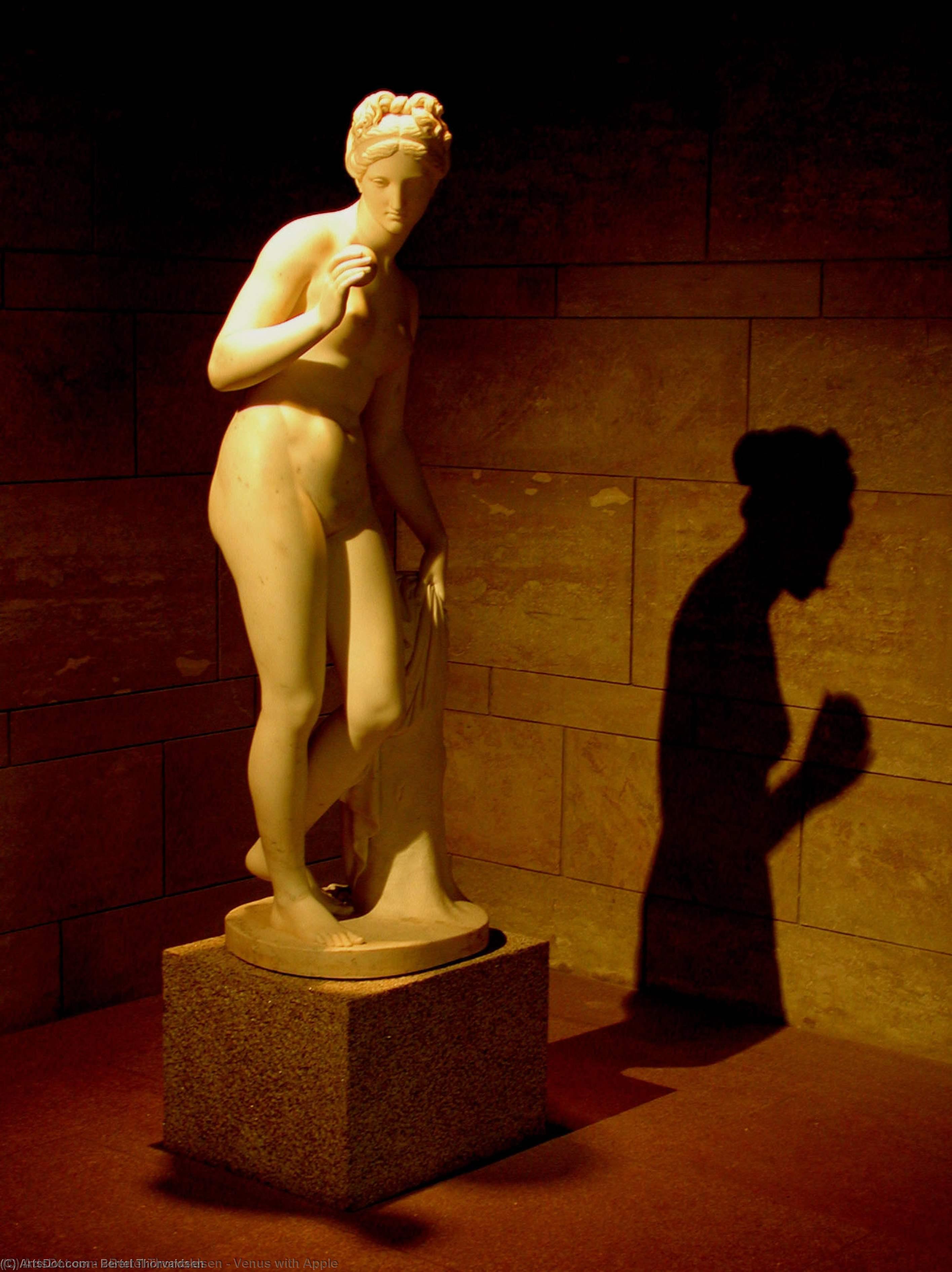 WikiOO.org - אנציקלופדיה לאמנויות יפות - ציור, יצירות אמנות Bertel Thorvaldsen - Venus with Apple