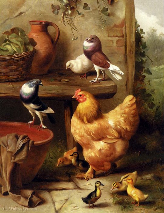 Wikioo.org - The Encyclopedia of Fine Arts - Painting, Artwork by Edgar Hunt - A chicken doves pigeons and ducklings