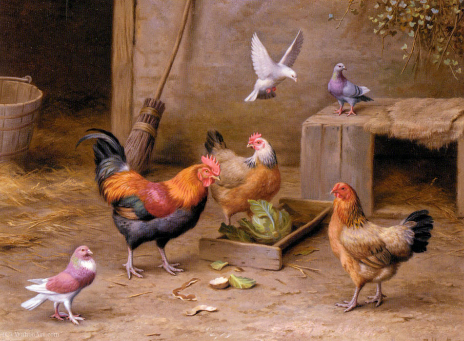 Wikioo.org - The Encyclopedia of Fine Arts - Painting, Artwork by Edgar Hunt - Chickens in a farmyard