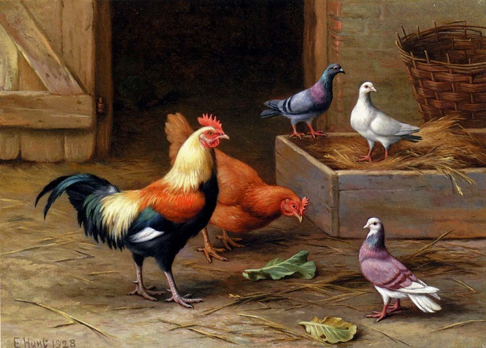 WikiOO.org – 美術百科全書 - 繪畫，作品 Edgar Hunt - 鸡和鸽子鸽子