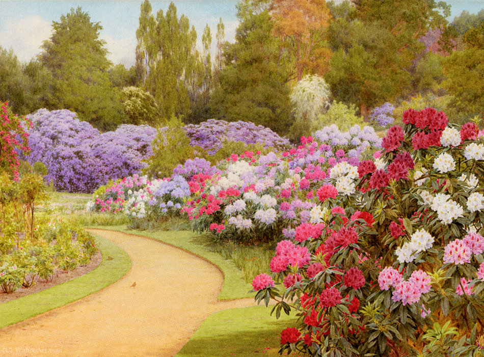 Wikioo.org - สารานุกรมวิจิตรศิลป์ - จิตรกรรม George Marks - The rhododendron walk