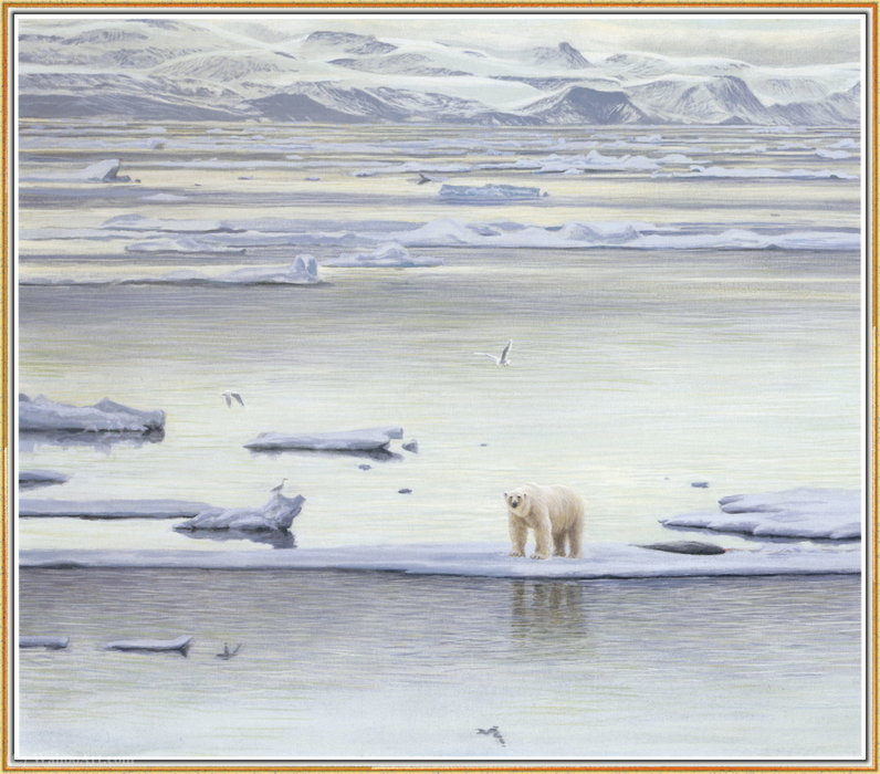 Wikioo.org – L'Encyclopédie des Beaux Arts - Peinture, Oeuvre de Robert Bateman - Glaces de l Arctique - ours polaire