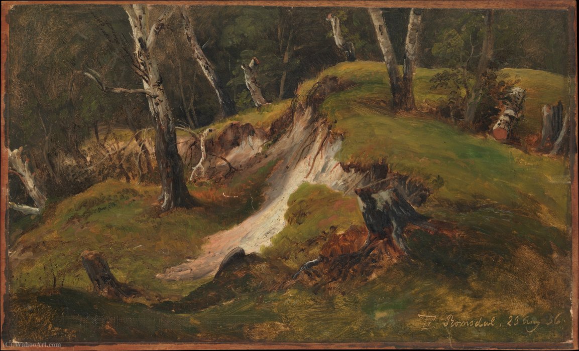 Wikioo.org – L'Encyclopédie des Beaux Arts - Peinture, Oeuvre de Thomas Fearnley - Escarpement avec souches d arbres, Romsdal (1836)