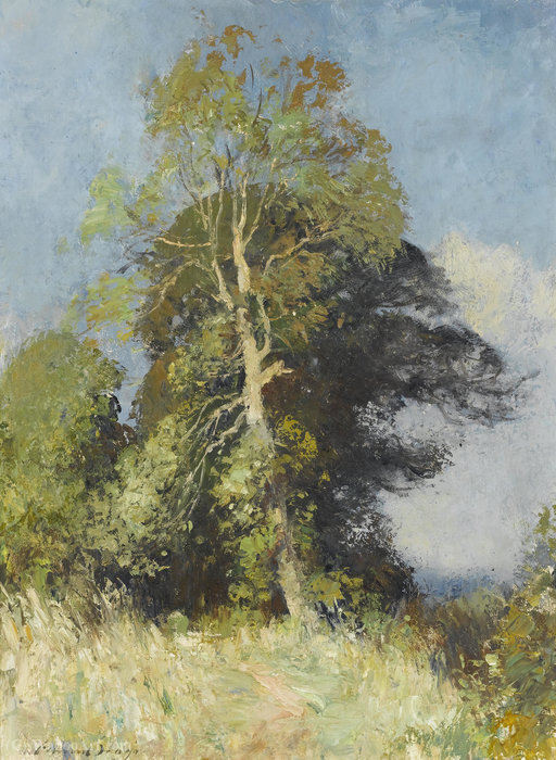 WikiOO.org - 百科事典 - 絵画、アートワーク Edward Seago - 灰の木