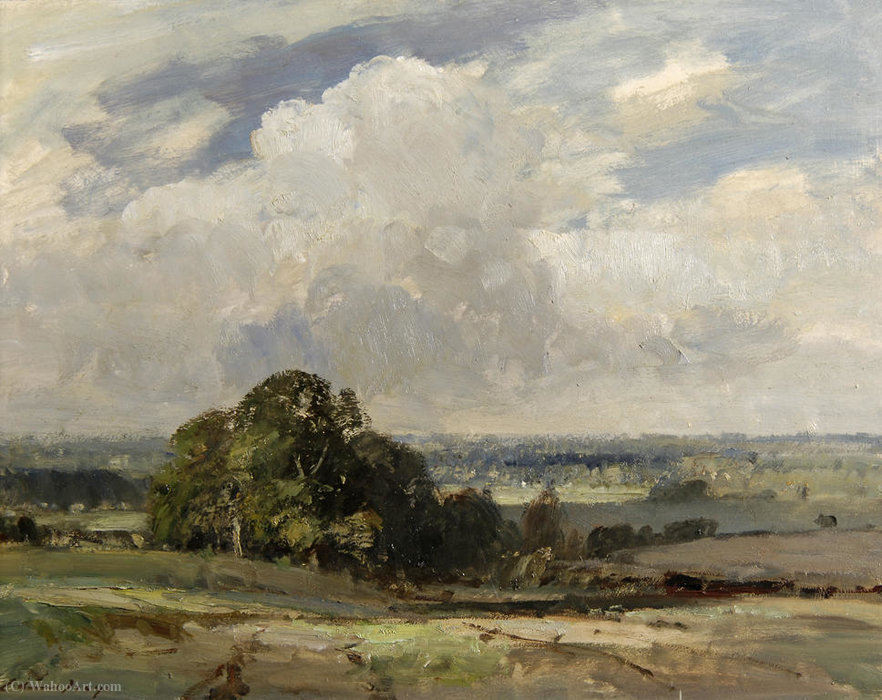 Wikioo.org - The Encyclopedia of Fine Arts - Painting, Artwork by Edward Seago - The waveney valley, norfolk