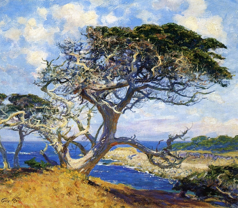 Wikioo.org - The Encyclopedia of Fine Arts - Painting, Artwork by Guy Rose - Monterey cypress